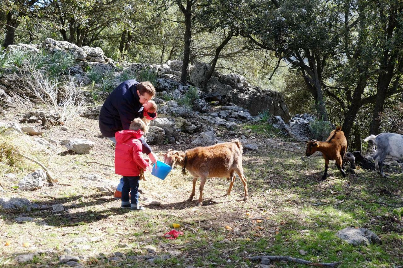 Agroturismo Son Alzines Lluc Exterior photo